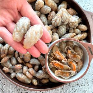 [품질보장]이순신수산 마산 진동만 통영 오만둥이 2kg