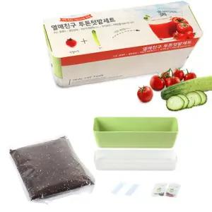 배양토 오이 방울토마토 씨앗 플랜터 세트/채소/키우기/새싹/홈가드닝/화분/식물/베란다/재배기/반려/키트