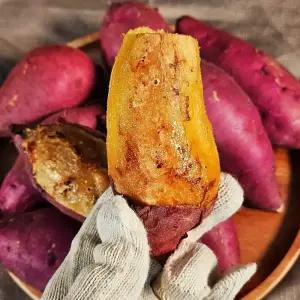 해남 산지발송 25년 꿀밤고구마 3kg외 택1 햇고구마 베니하루카 호박 밤고구마