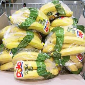 [원산지:페루/에콰도르] 친환경 유기농 DOLE / MANNA 오가닉 바나나 1.36kg 이상 2개 랜덤발송