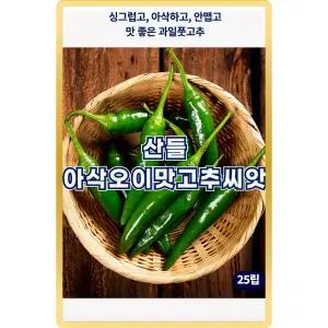 산들 아삭오이맛 고추 씨앗 25립 안맵고 아삭한 풋고추씨 종자