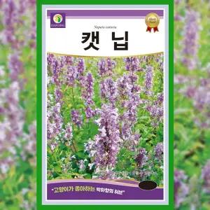 [파머씨드]캣닢 씨앗 1g 캣잎 개박하 고양이풀 캣그라스 돌박하 종자