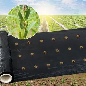 참깨 멀칭비닐 2구 3구 고밀도 유공 텃밭 농사 농산물 필름