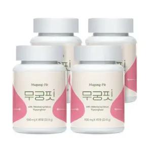 무궁핏 500mg 45정 4개