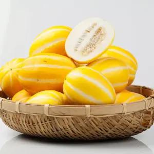 가정용 성주 참외 랜덤과 10kg