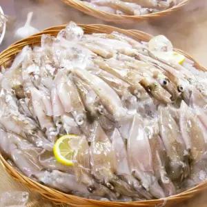 통째먹는 총알한치 100 냉동 한치 오징어 회무침 아이큐샵