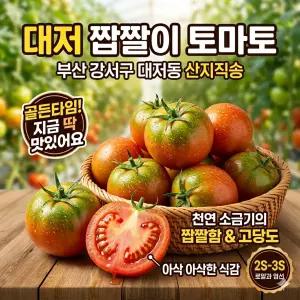 산지직송 부산 대저 토마토 짭짤이 특품