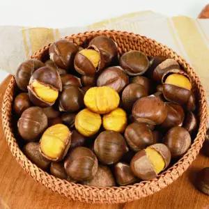 대표간식 약단밤 1kg x 5봉