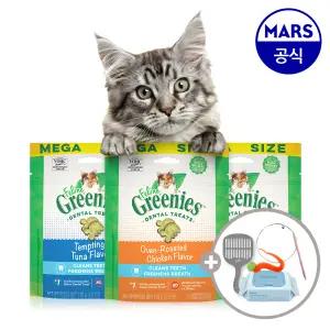 그리니즈 필라인 3개 골라담기+모래삽+고양이낚시대+베베숲물티슈