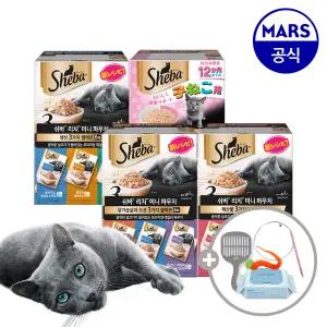 쉬바 미니 리치 35gx12개 골라담기+모래삽+고양이낚시대+베베숲물티슈