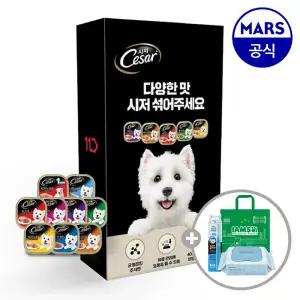 [11번가 단독팩] 시저 주식캔 26개 골라담기+아이엠즈쇼핑백+애견칫솔+베베숲물티슈