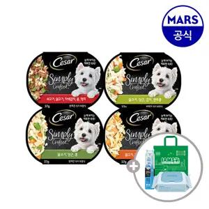 시저 심플리 크래프티드 15개골라담기+아이엠즈쇼핑백+애견칫솔+베베숲물티슈