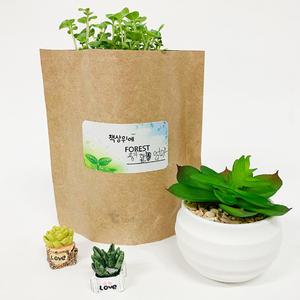 [문구티쳐] 내 책상위에 포레스트 (크라프트) 1인세트 DIY 만들기세트 씨앗키우기 씨앗 미니화분