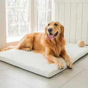 [ 초코펫하우스]강아지침대 대형견 방석 사이언스 매트리스2.0 중형