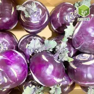 국내산 콜라비 15kg