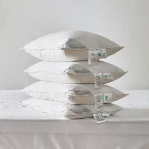 바운티풀 [1+1]호텔베개 구스 다운필 40x60 높이별 4종