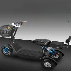 3륜스쿠터 48v 배터리 삼륜차 전기 오토바이 노인 2인