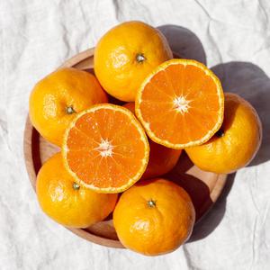 제주 카라향[중소과] 2.5kg