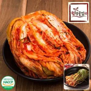 전라도전통함평김치 포기김치5kg+파김치1kg 국내산재료 당일제조