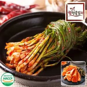 전라도전통함평김치 파김치1kg+총각김치1kg 국내산재료 당일제조