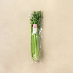 샐러리 500g (1통)