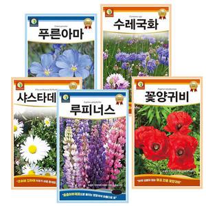야생화씨앗 허브씨앗 30종 중 선택 관상화 꽃씨앗 꽃씨 허브씨