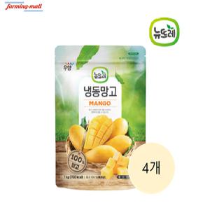 [보금푸드] 뉴뜨레 냉동 망고 베트남산 1kg x 4개