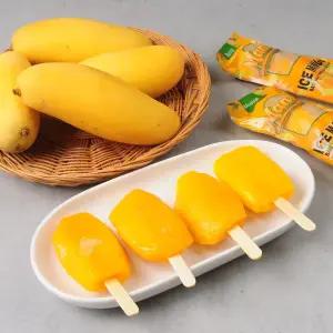 망고가 통째로 리얼 아이스 망고바 60gX50개