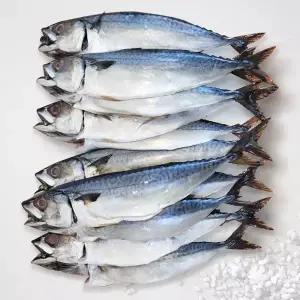 [해담] 국내산 손질 자반 고등어 소 12미 (1미당 150~210g 내외)