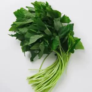 국내산 참나물 4kg 1박스