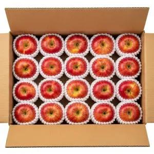 은이네사과나무 가정용 사과 중과 4.5kg