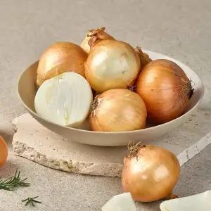 국내산 달큰 아삭한 햇 양파 10kg 중사이즈