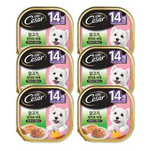 시저캔 시니어용(14세이상) 닭고기 6개/주식캔
