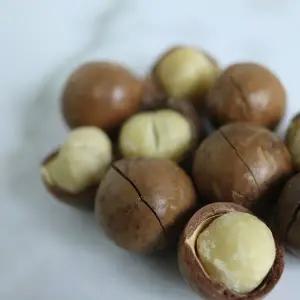 껍질있는 통 마카다미아 1kg (오프너동봉)