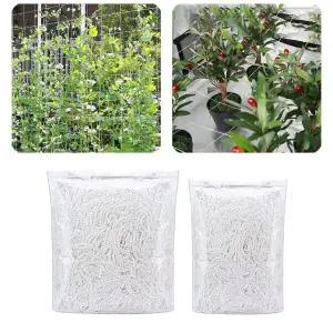 줄기유인망 넝쿨 식물 원예용품 등나무망 1.5 x/넝쿨망/식물망/가드닝/그물망/가든/그물/네트/덩쿨망/오이