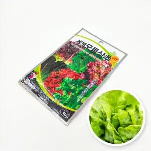 화분 상추 식물 씨앗 텃밭 원예 종자 모듬 정원용품 홈가드닝 세계채소 키우기쉬운 쌈채소모종