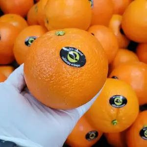 [품질보장] 캘리포니아 블랙라벨 오렌지 대과 20입 (개당 250g 내외)