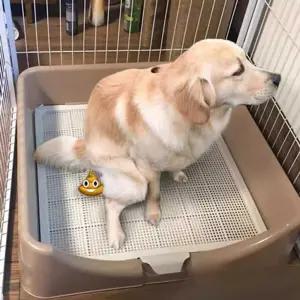 대형견 배변판 강아지 변기 훈련 배수 베란다 대형견배변판