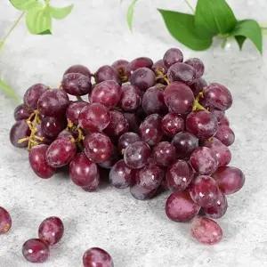 고당도 달콤한 캔디 하트 포도 2kg