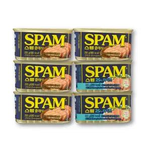 스팸 클래식 200g 4개 + 라이트 200g 2개 (6개)