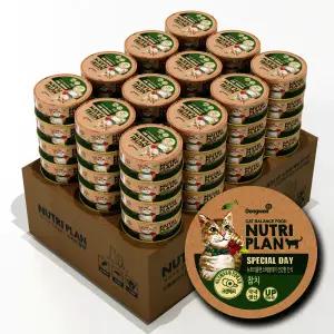 뉴트리플랜 집사추천 고양이간식 고양이캔 동원 고양이참치 습식캔 스페셜데이 90g 48캔
