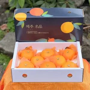 제주 천혜향 하우스감귤 오렌지 제철과일 대과 10kg