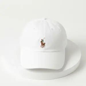 [폴로 랄프 로렌]POLO RALPHLAUREN 25FW 포니 로고 캡 710834737019 892429