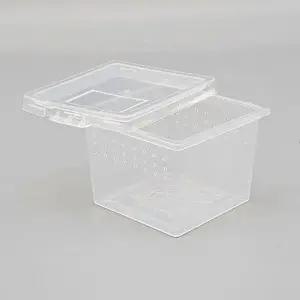 파충류 도마뱀 사육장 곤충 거북이 달팽이 밀웜 집 C2