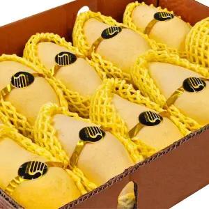 항공직송 남독마이 태국망고 5kg (10-14과)