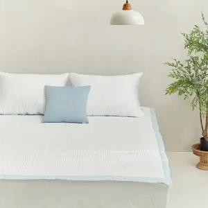 알레르망 쿨러 냉감패드 S 단품 블루