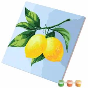 DIY 페인팅 그림 레몬 색칠도안 물감하기DIY그리기 DIY유화그리기 명화그리기세트 도안 그리기DIY 취미 하