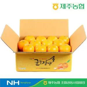 2026 귤로장생 제주 천혜향 4.5kg*1박스(130g~280g,16~35입)