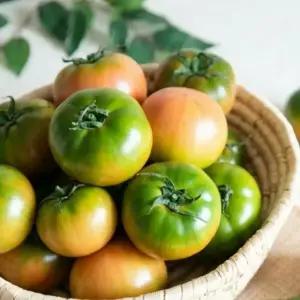 부산명물 산지직송 대저토마토 2.5kg (못난이/쥬스용) 2박스