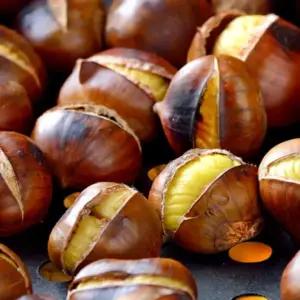 밤톨이약단밤 칼집 약단밤 1kg